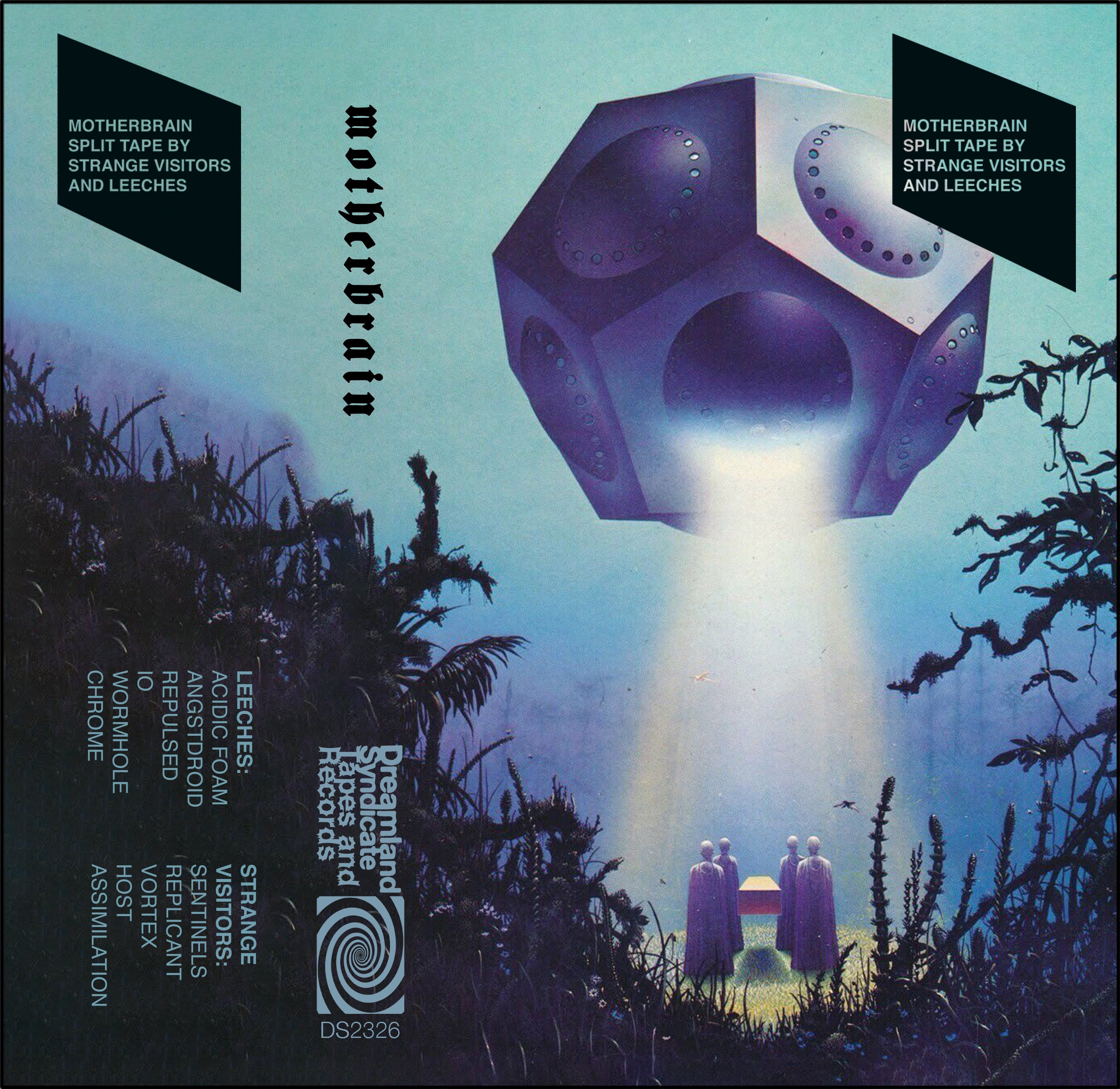 Motherbrain - split tape by Leeches and Strange Visitors