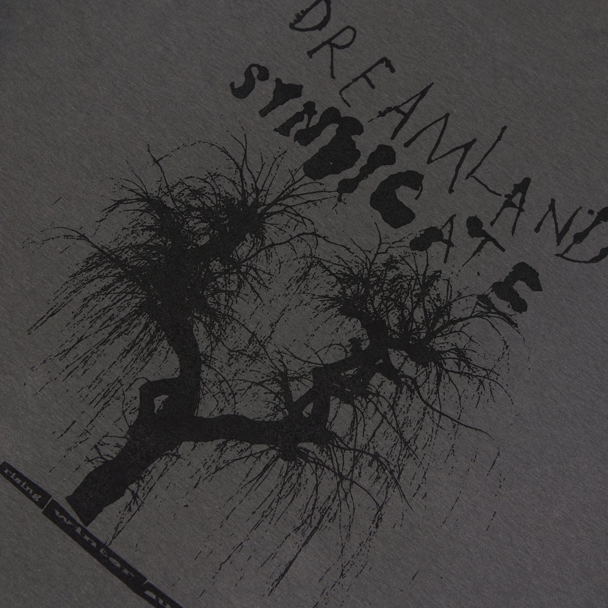 Rising Winter Sun T-Shirt