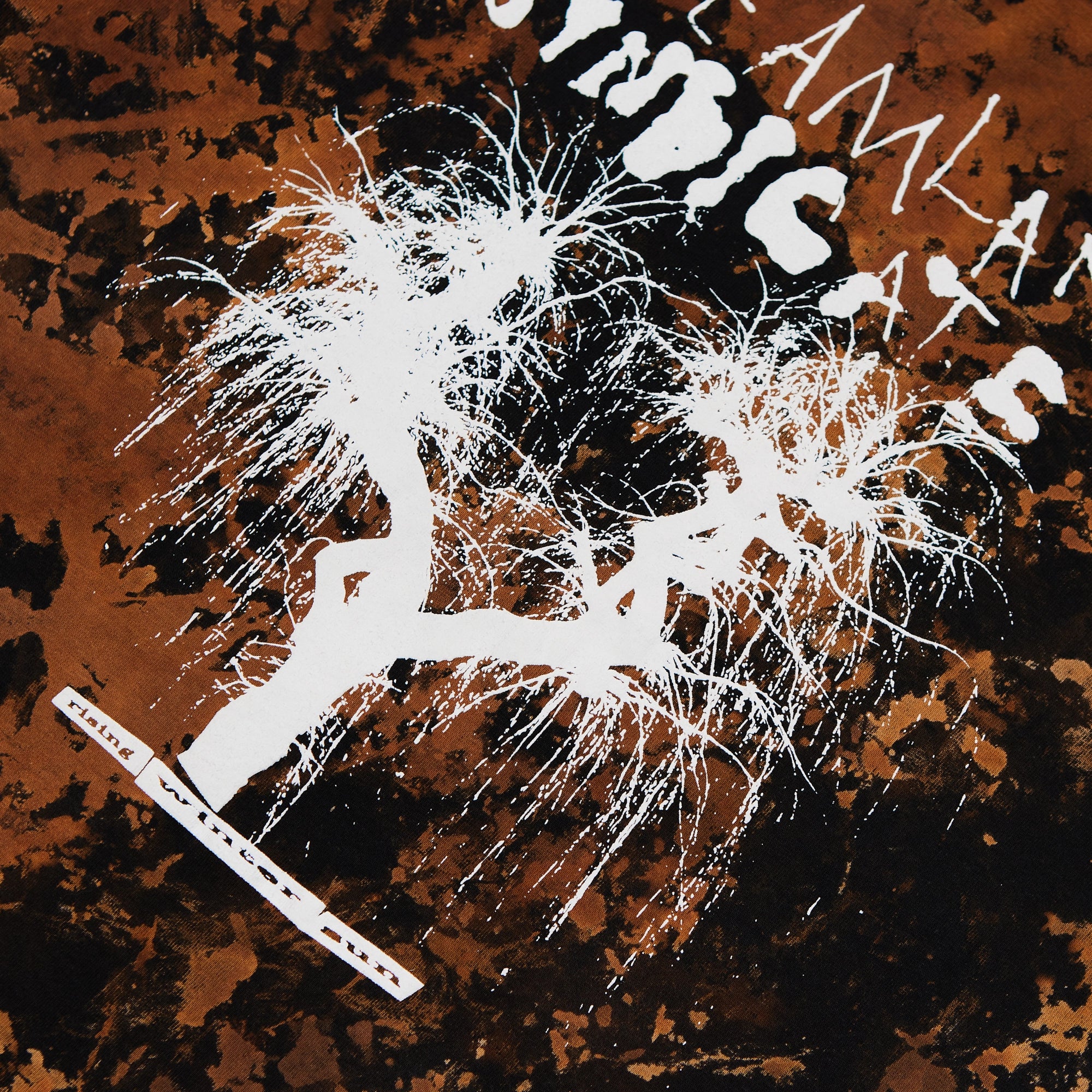 Rising Winter Sun T-Shirt