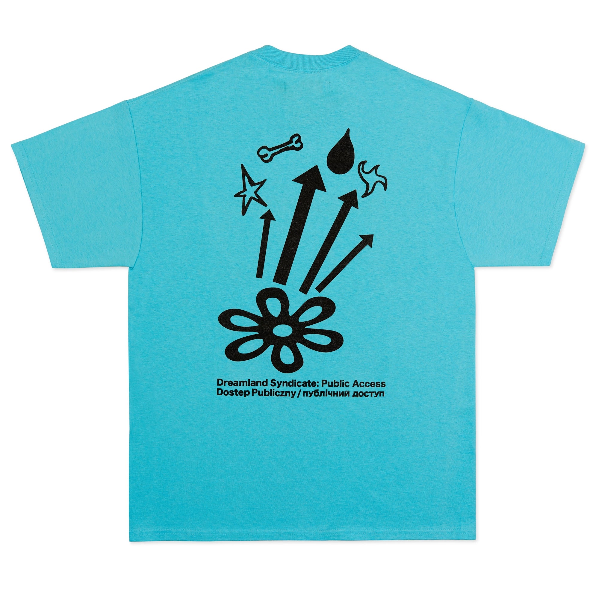 Public Access T-Shirt