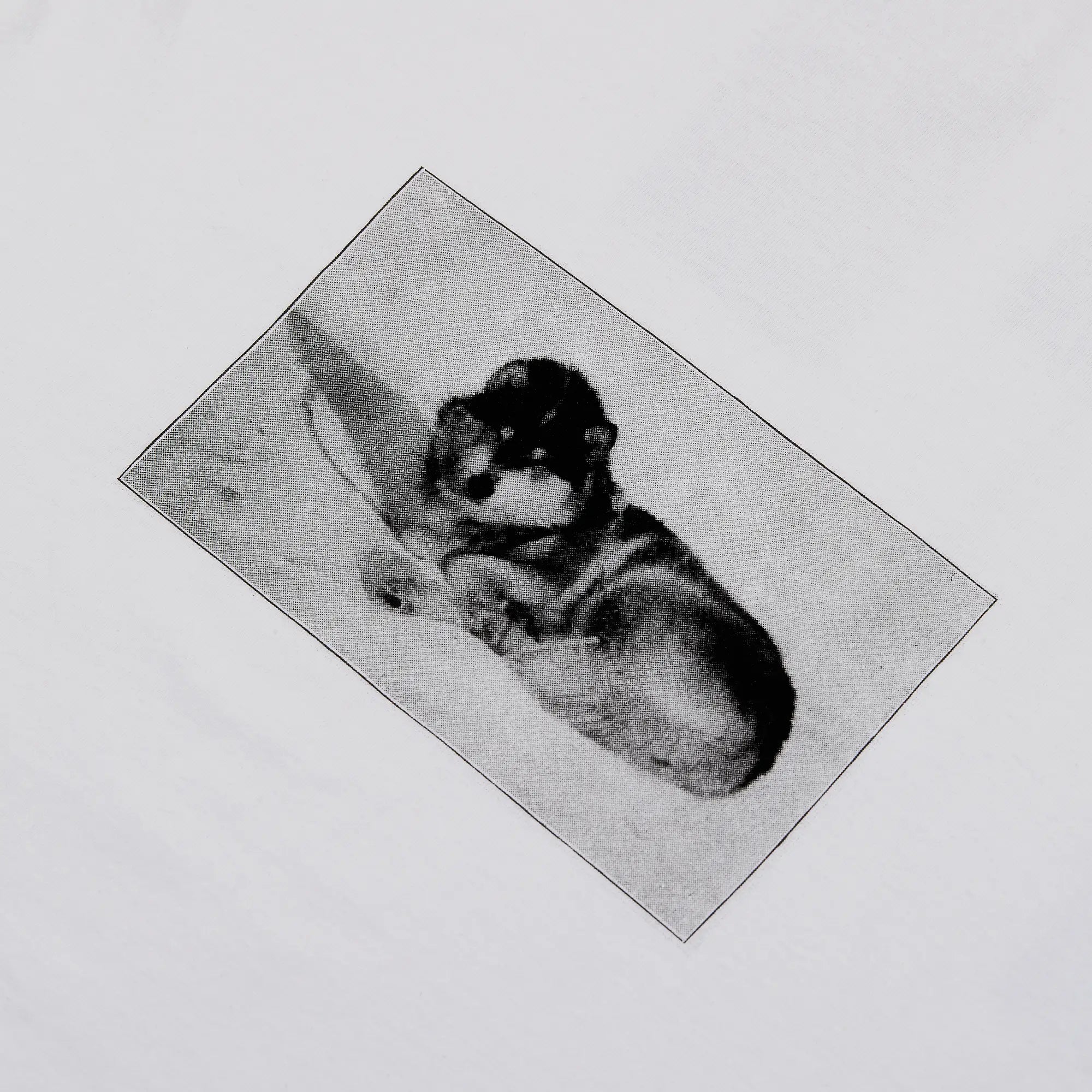 Dogs T-shirt with Patch