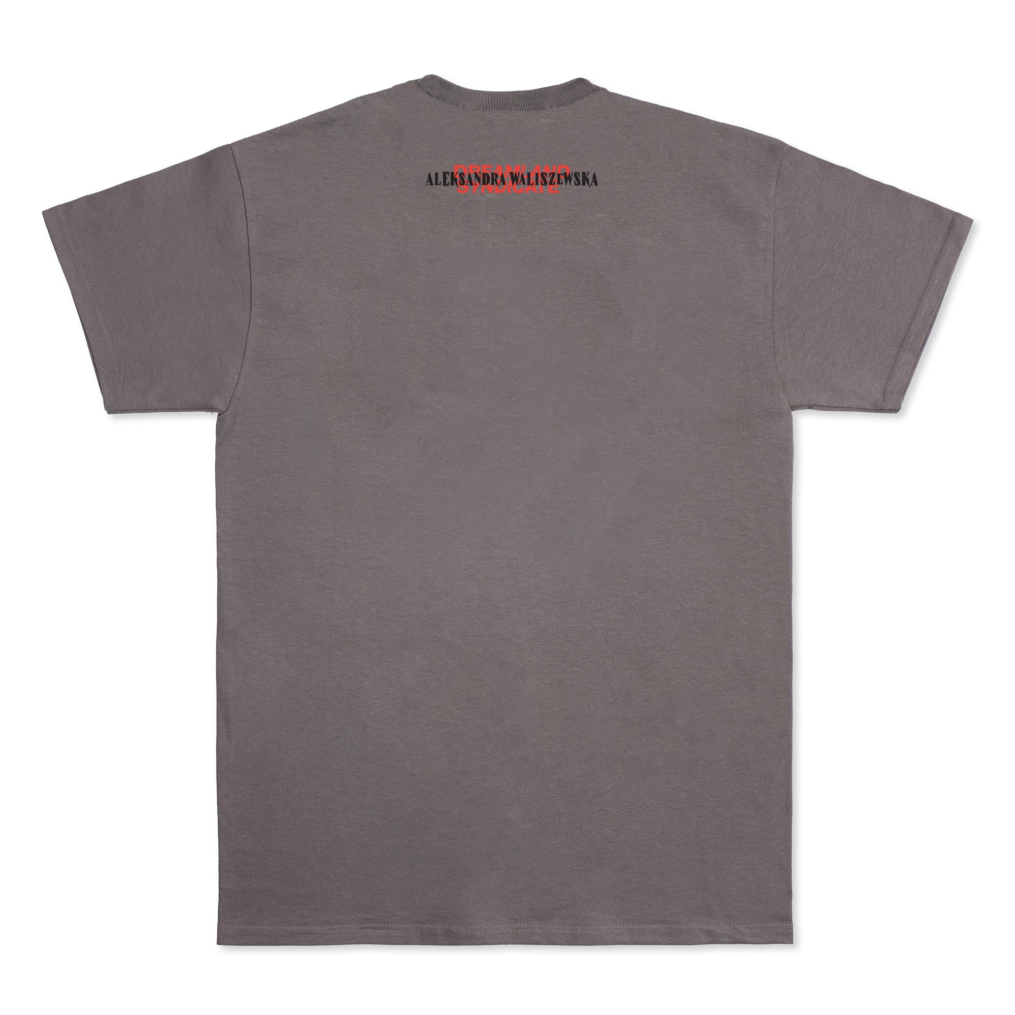 DS x Waliszewska Kurt T-shirt GREY