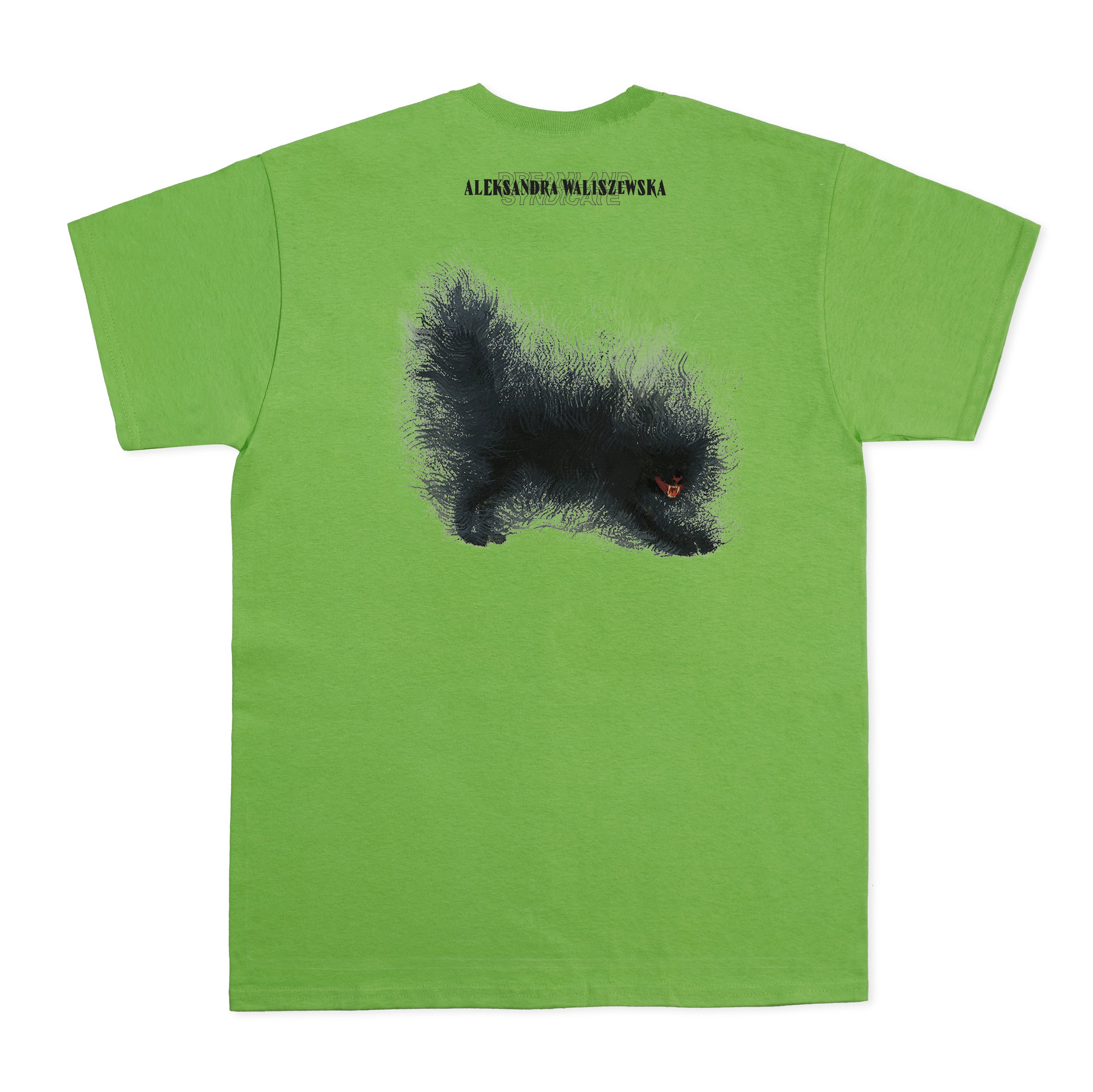 DS x Waliszewska Fuck T-shirt GREEN