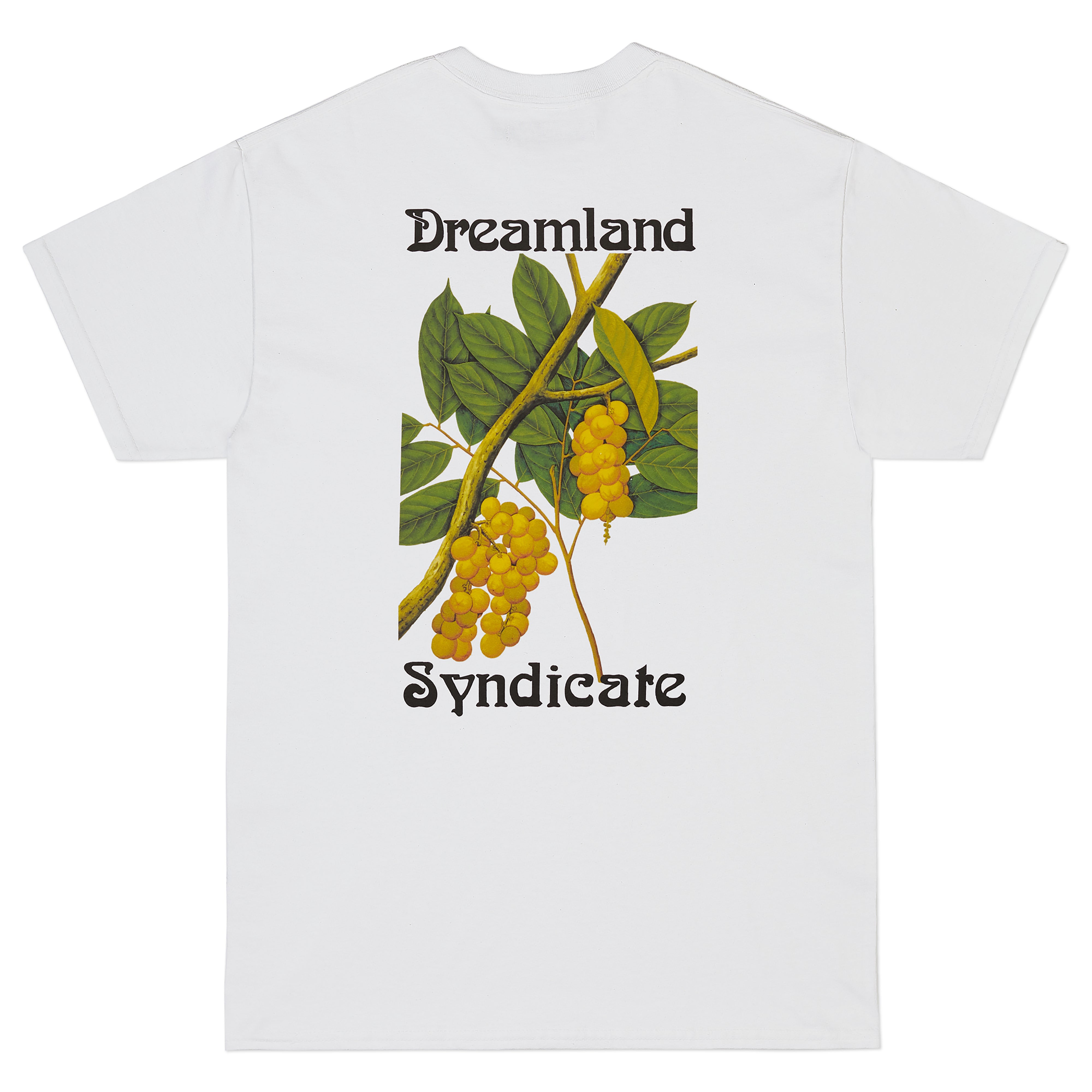 Fruit T-shirt - Dreamland Syndicate