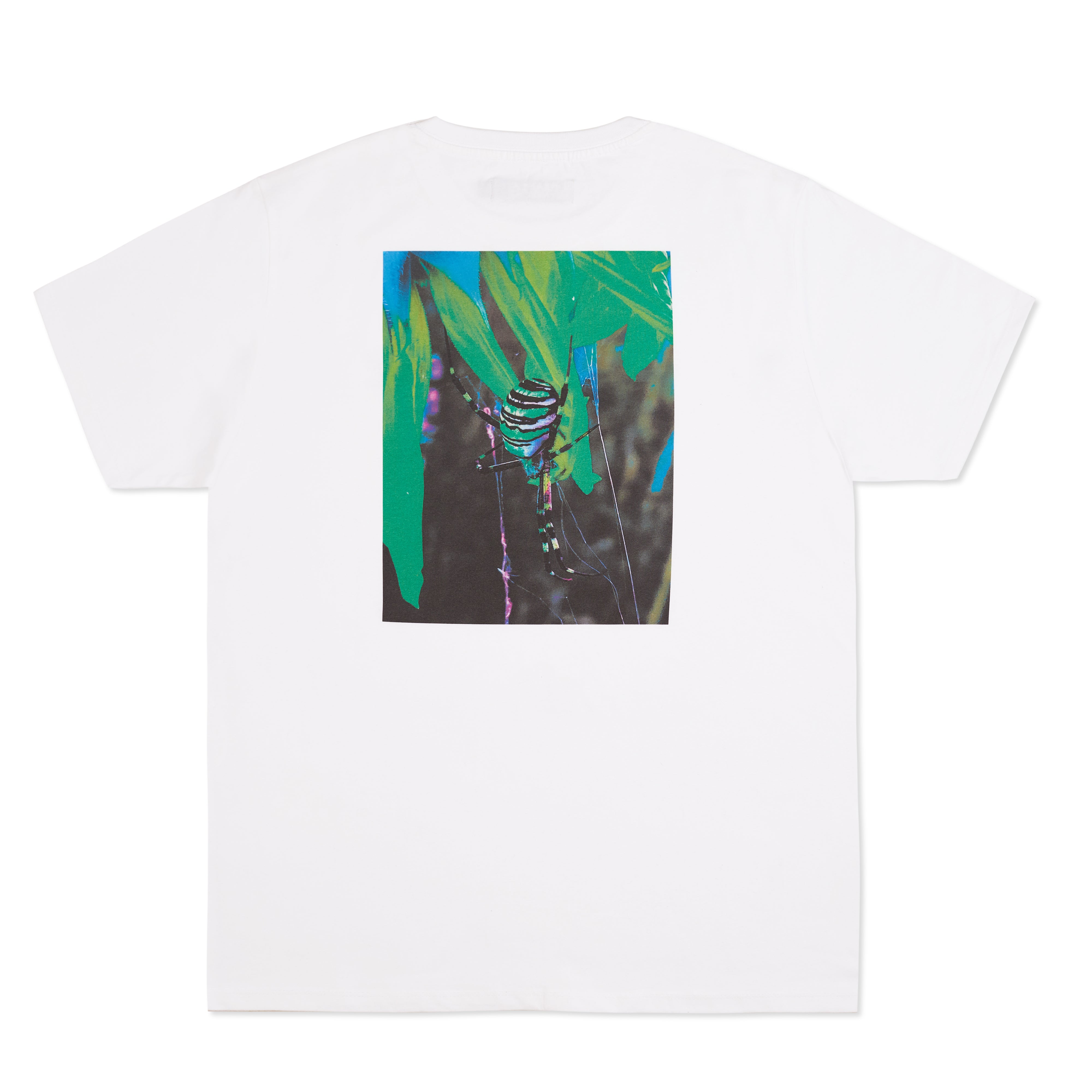 Chain Web Organic T-Shirt