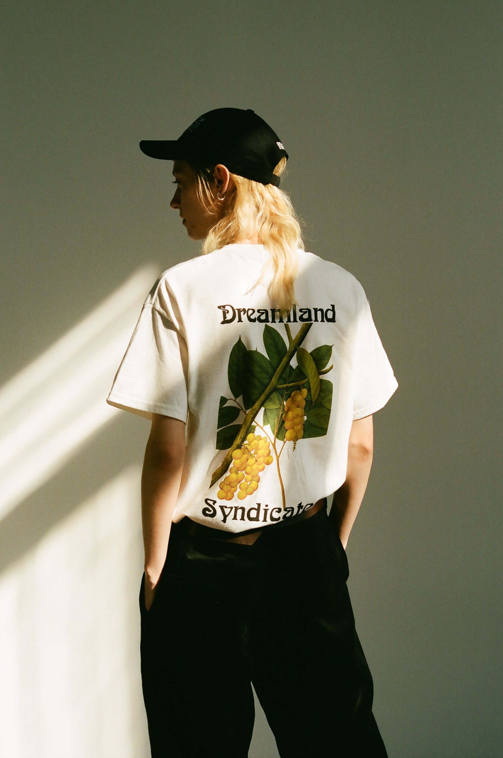 Fruit T-shirt - Dreamland Syndicate
