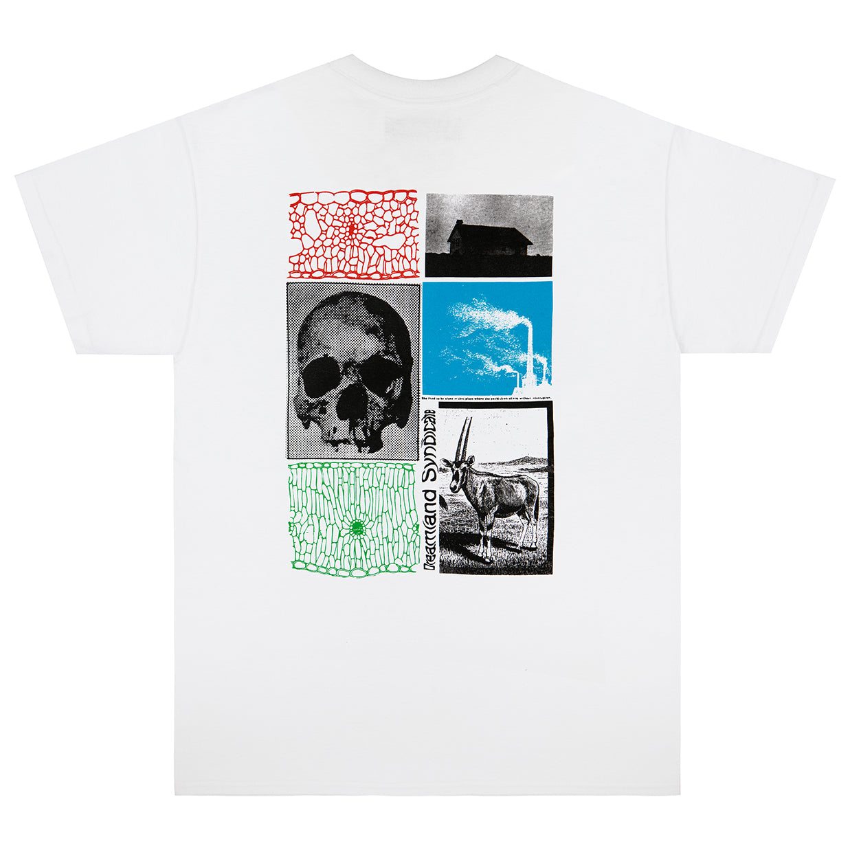 Collage T-shirt - Dreamland Syndicate