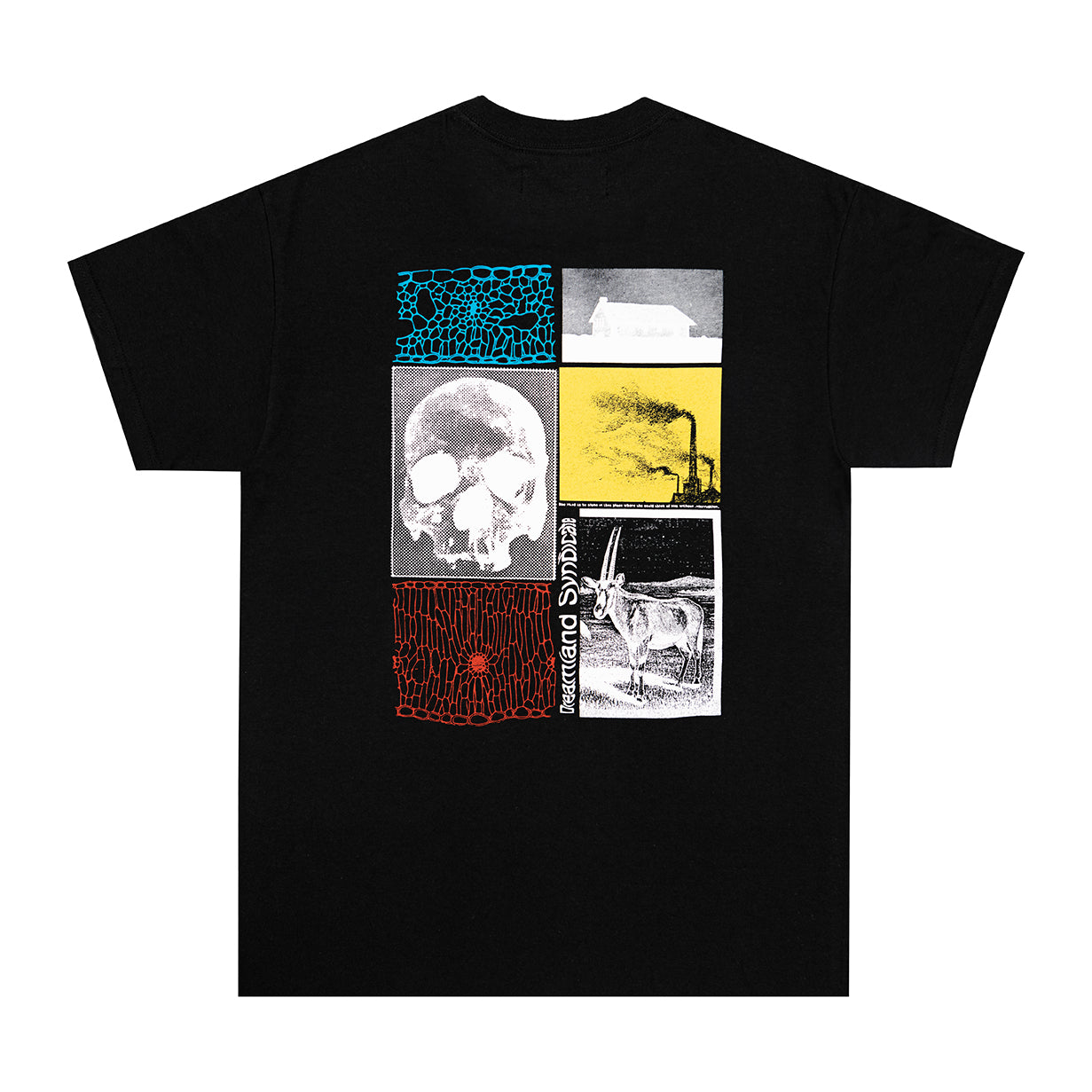 Collage T-shirt - Dreamland Syndicate