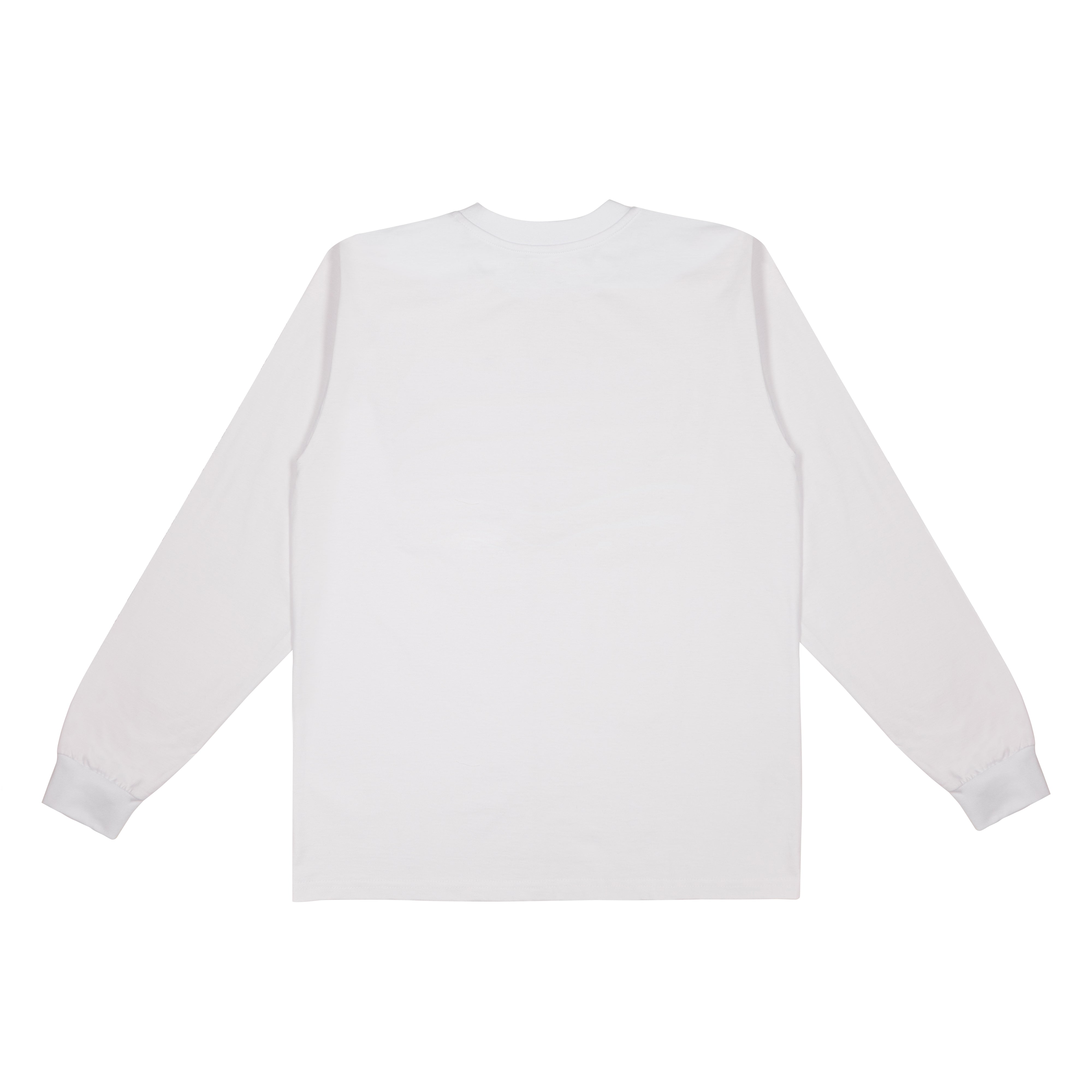 DSTR Spiral Long Sleeve - Dreamland Syndicate