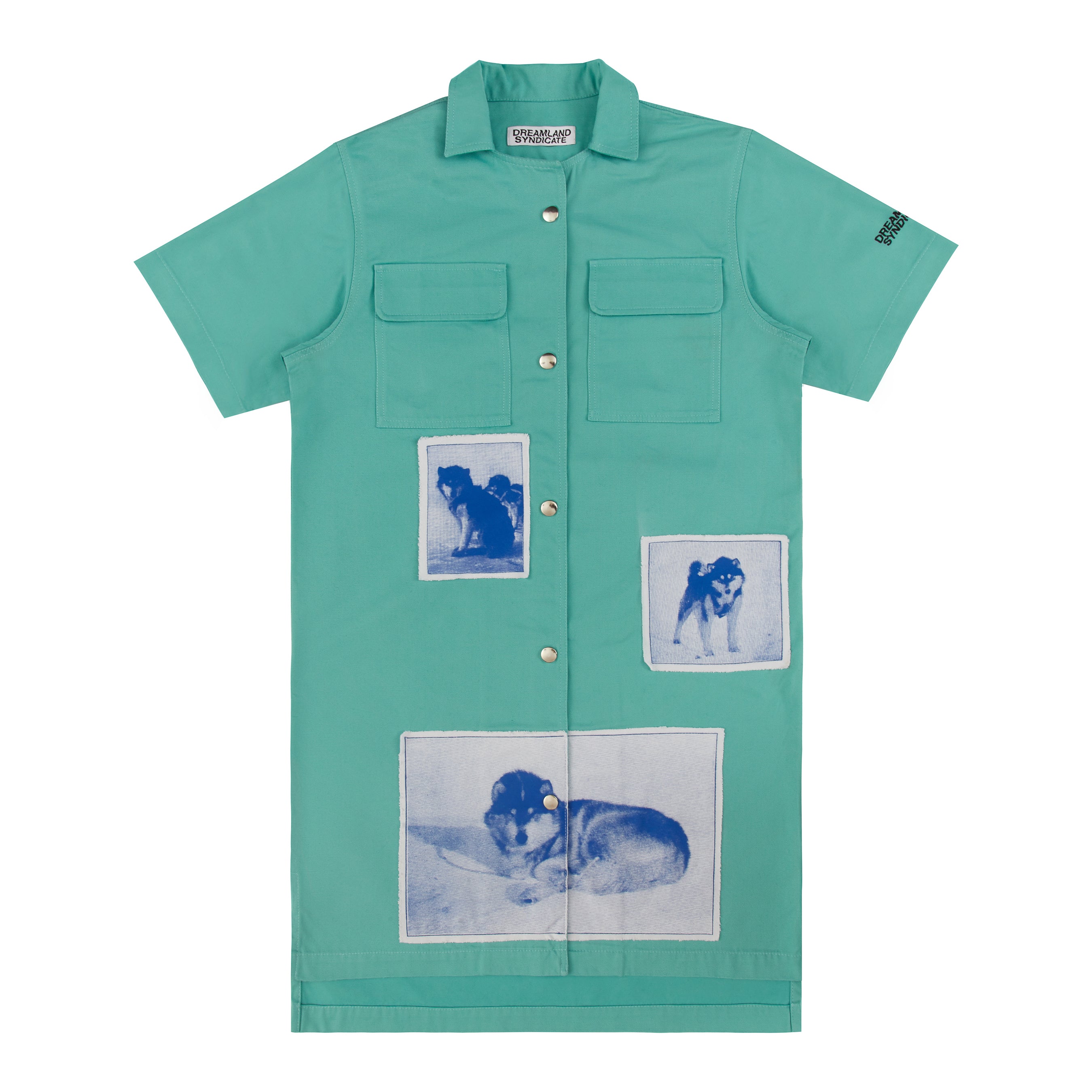 Dogworks Mint Shirt/Dress - Dreamland Syndicate
