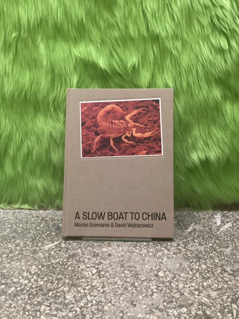 A Slow Boat to China - Dawid Wojnarowicz